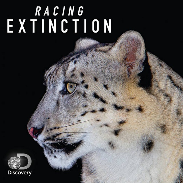 Racing Extinction