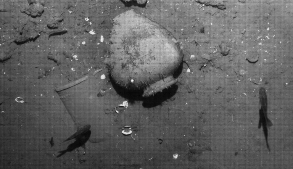 Tesori del galeone 2