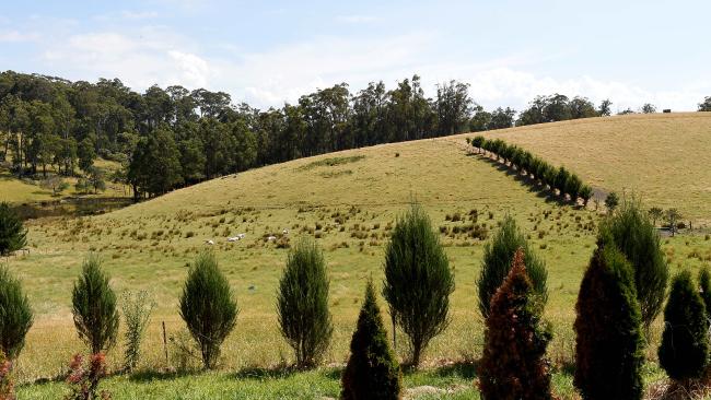 Il luogo del ritrovamento dela bambina