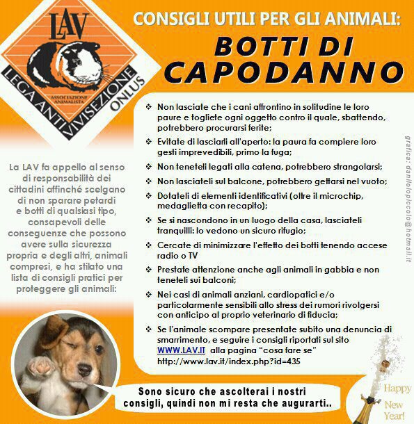 I consigli LAV per proteggere i nostri amici a 4 zampe dai botti di capodanno