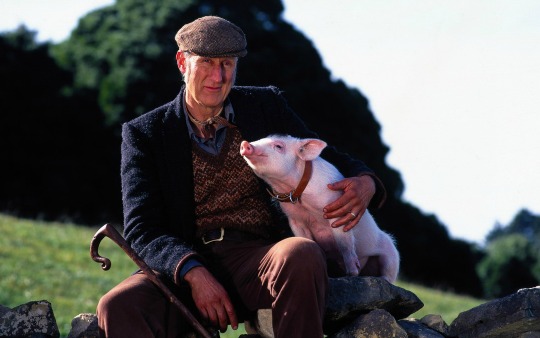 L'attore protestava contro la realizzazione di una centrale elettrica