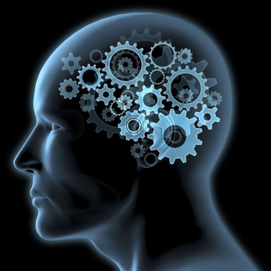 Non usiamo solo il 10% del cervello