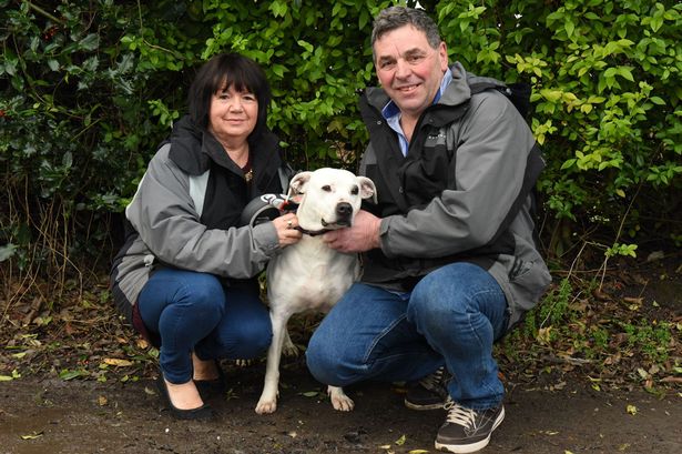 Dotty con la nuova famiglia