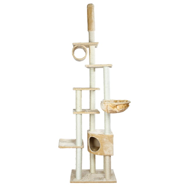 Sono il re del mondo