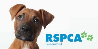 RSPCA