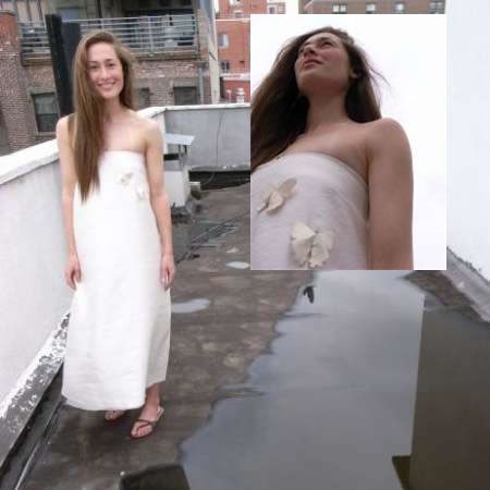 farfalla sul vestito