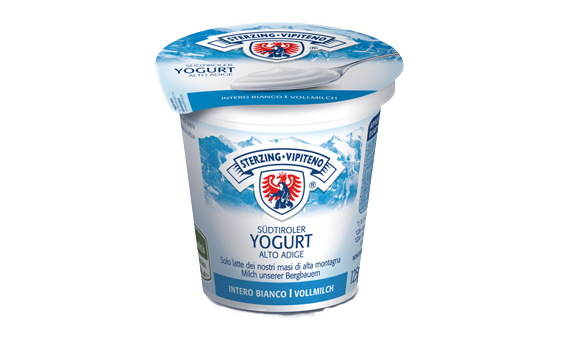 Yogurt
