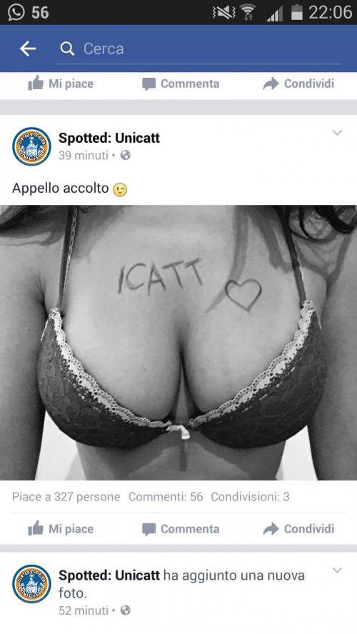 Unicatt 4
