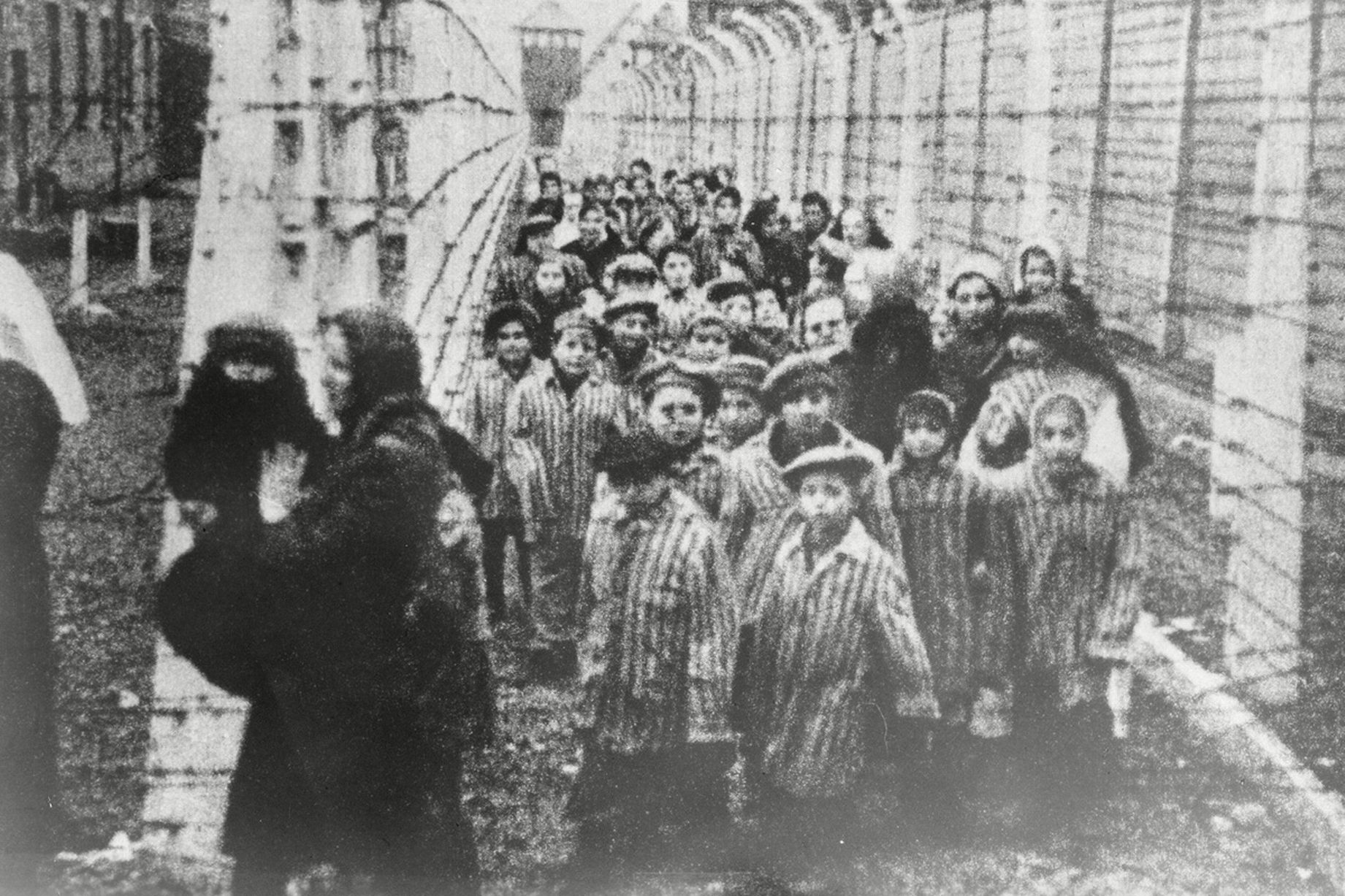 Storie Di Bambini Sopravvissuti Alla Shoah Giorno della Memoria, il mondo ricorda le vittime dell'Olocausto