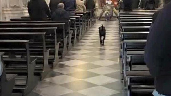 Un amore così grande