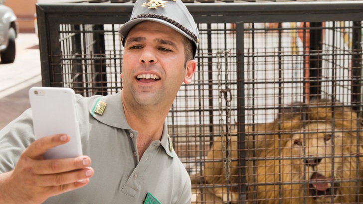 Scena del film Quo Vado? - 3