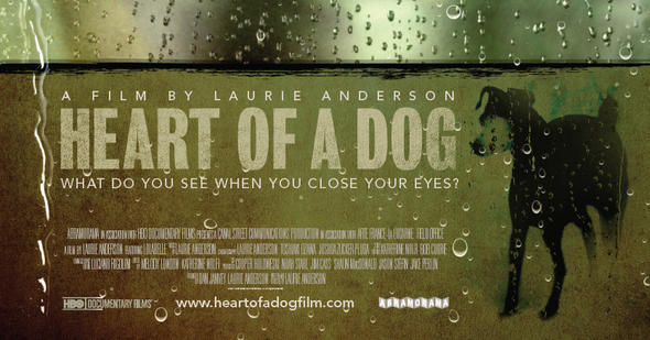 Heart of a dog