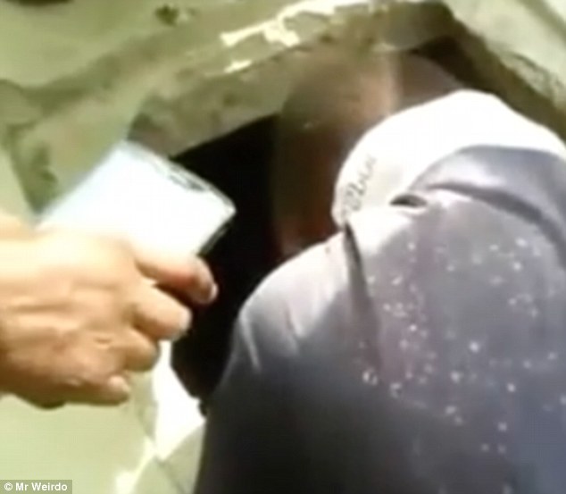 Alcuni immagini del salvataggio