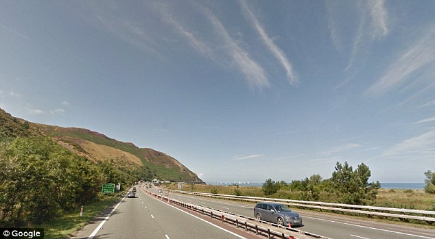 Strada dove l'animale è stato investito 2