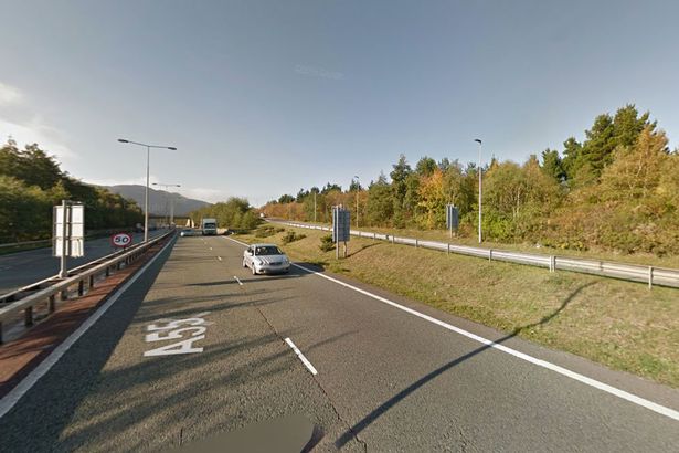 Strada dove l'animale è stato investito