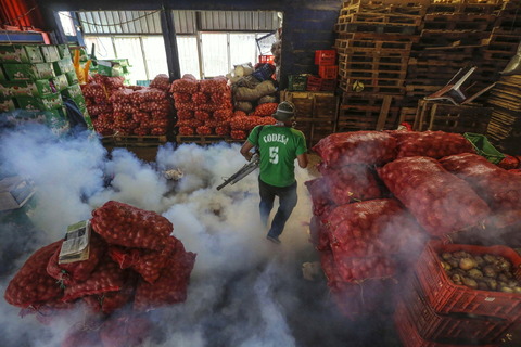 Uccisione delle zanzare 2