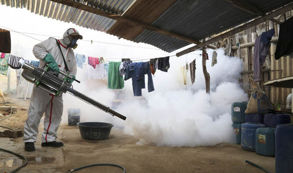 Uccisione delle zanzare