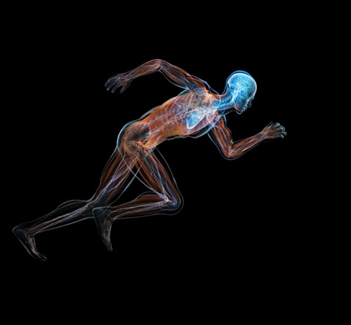 Esercizio corpo-mente