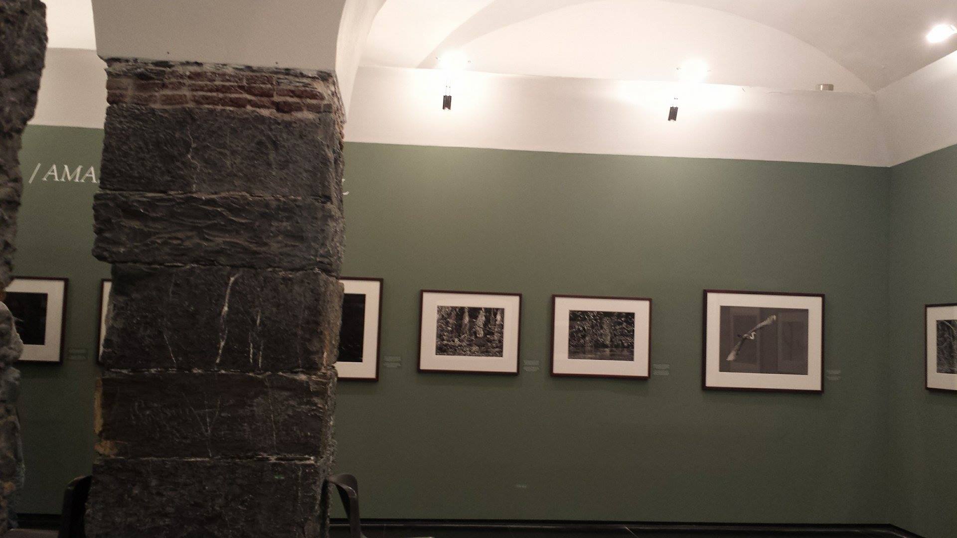 12896423_1142840772426640_100088374_o