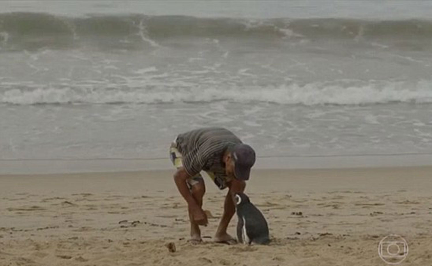 Inconctro Joao e Dindim