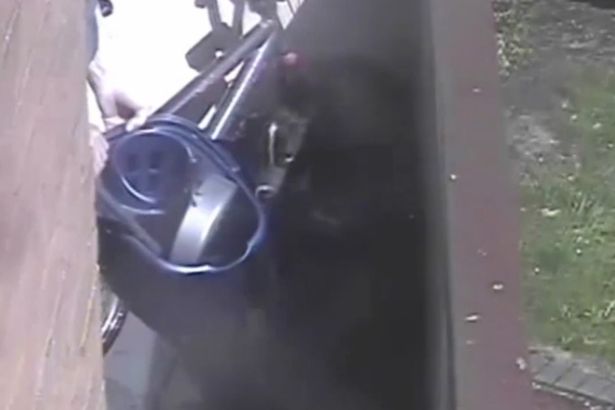 Morley con il suo padrone