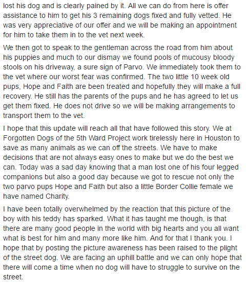 Il post condiviso su Facebook 2