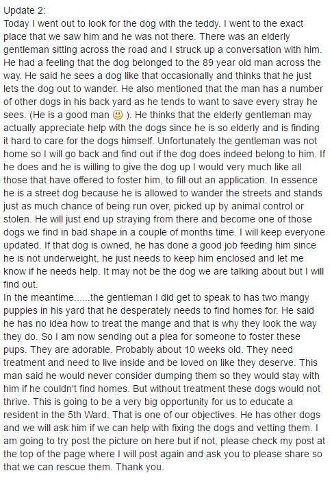 Il post condiviso su Facebook 4