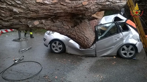 I resti dell'automobile