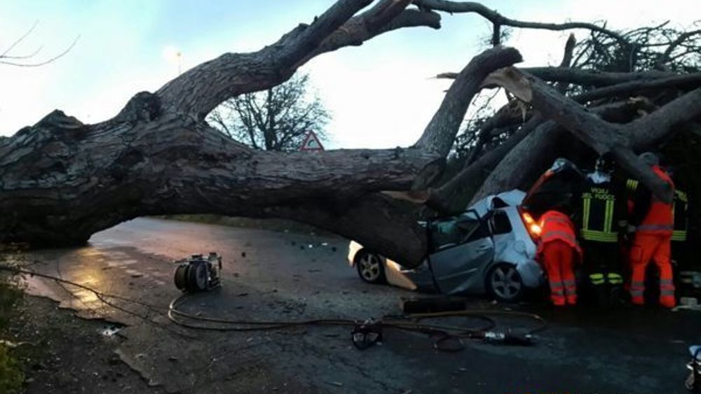 I resti dell'automobile 2