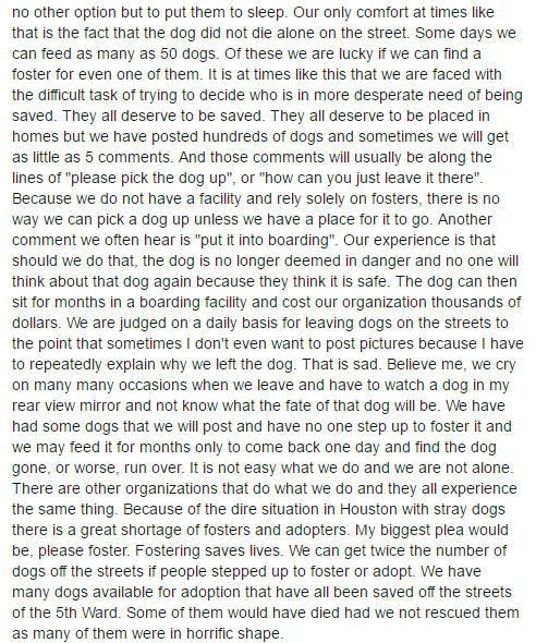 Il post condiviso su Facebook 5