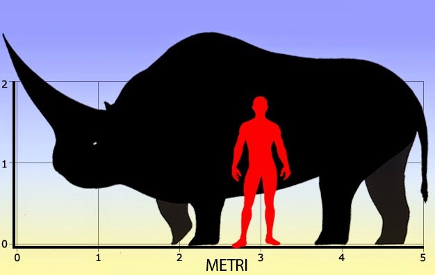 Differenza tra unicorno e uomo
