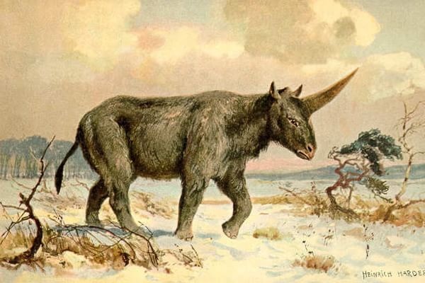 Ricostruzione dell'aspetto dell'unicorno