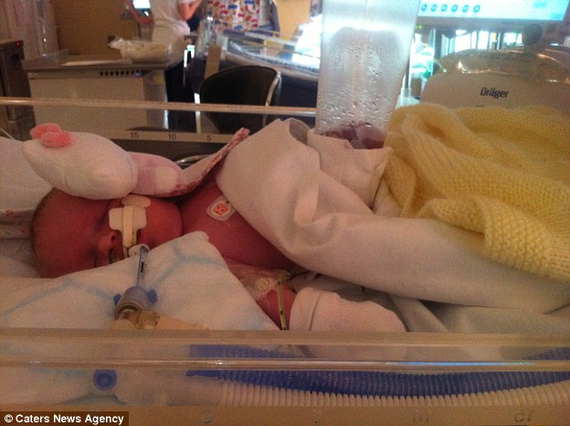 Sacchetto che contiene l'intestino (2)