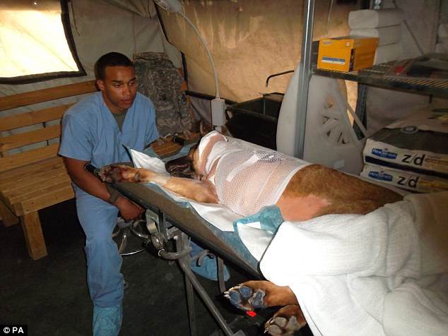 Lucca dopo essere stata ferita