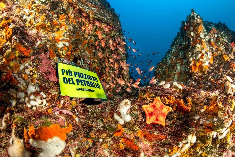 Greenpeace appello referendum (1)