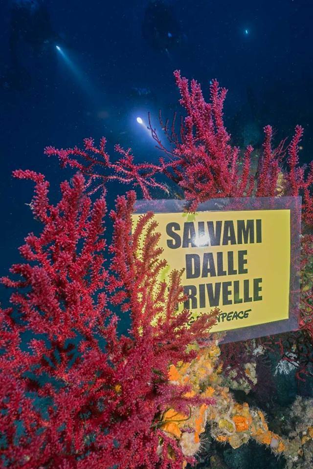 Greenpeace appello referendum (3)