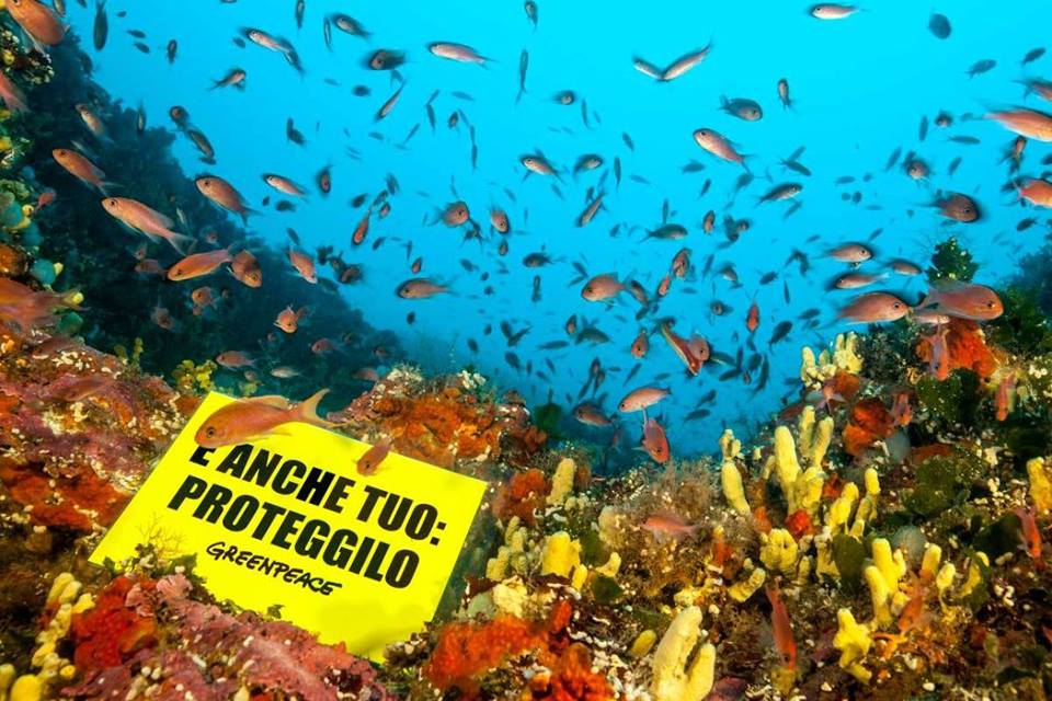 Greenpeace appello referendum (4)