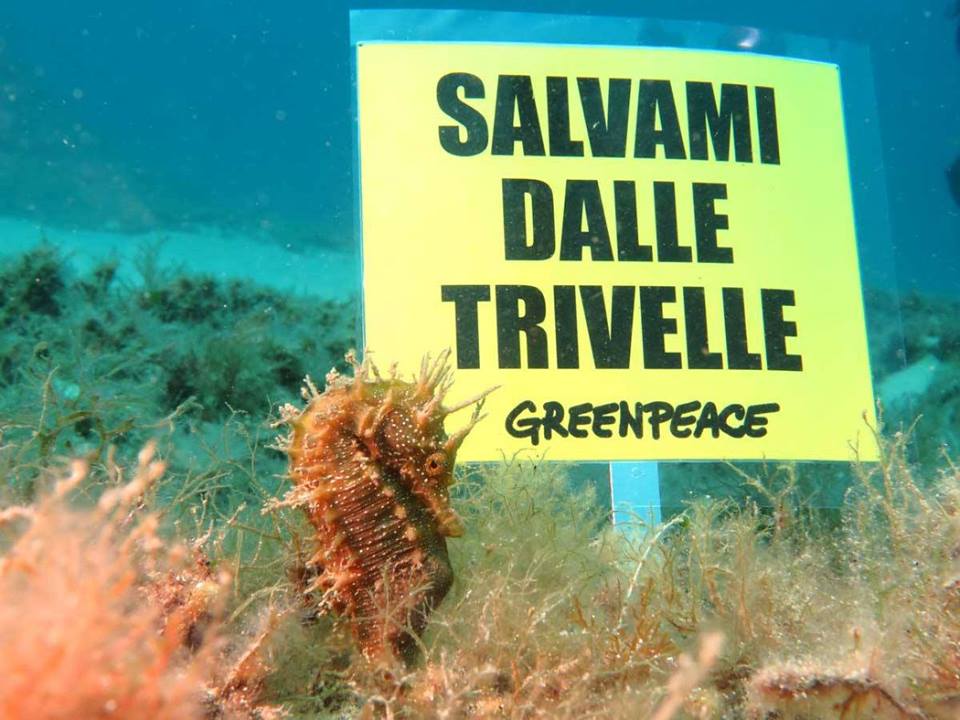 Greenpeace appello referendum (5)