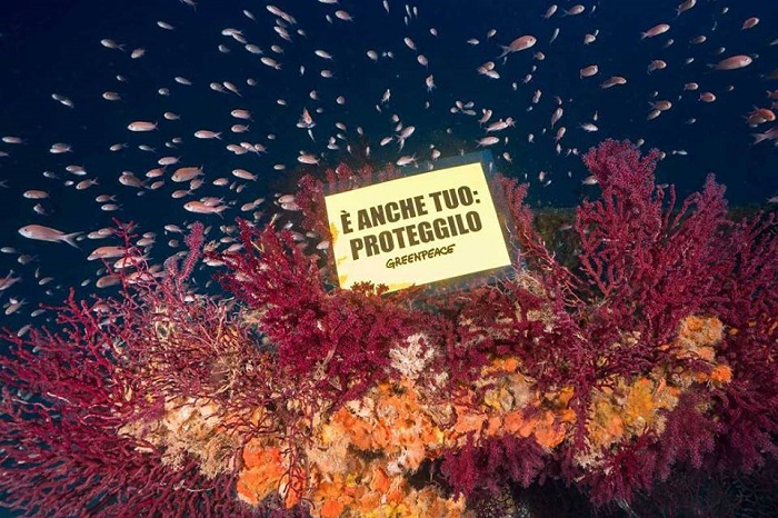 Greenpeace appello referendum (6)