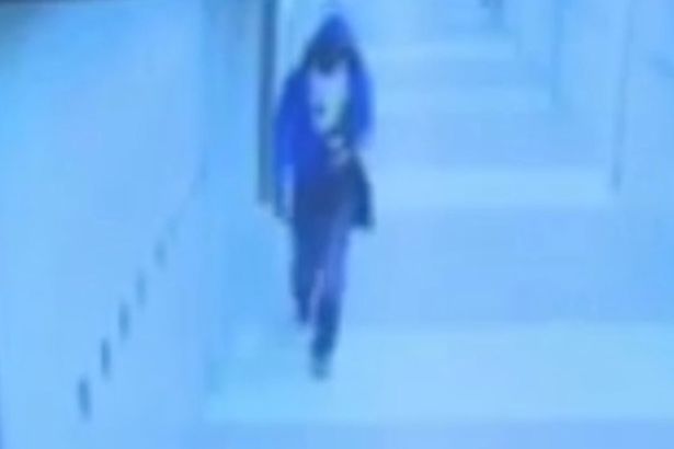 Immagine del video 2