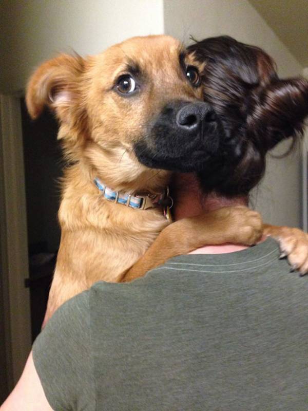 Disagio cane abbracciato