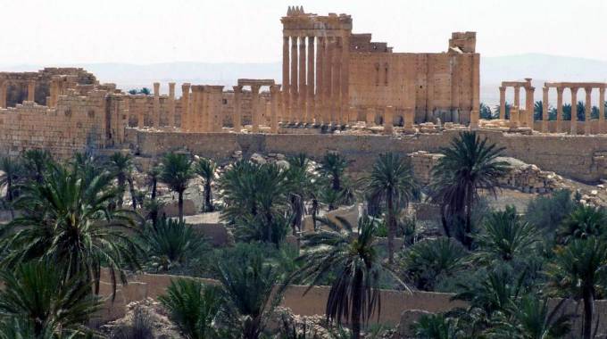 Palmira