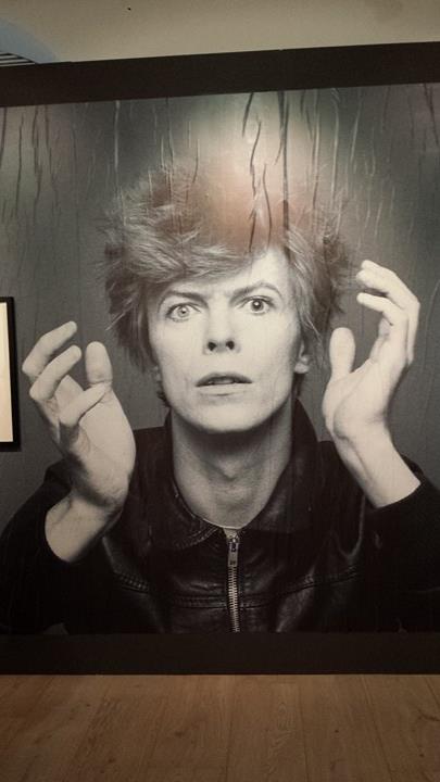 Bowie in posa