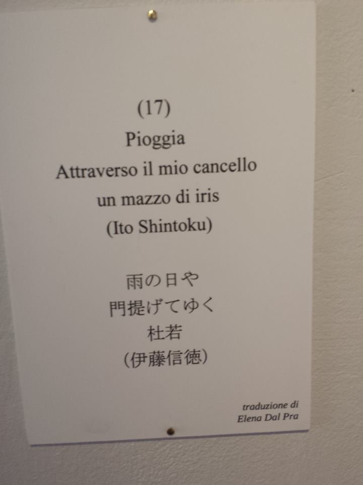 Un mazzo di Iris-Haiku