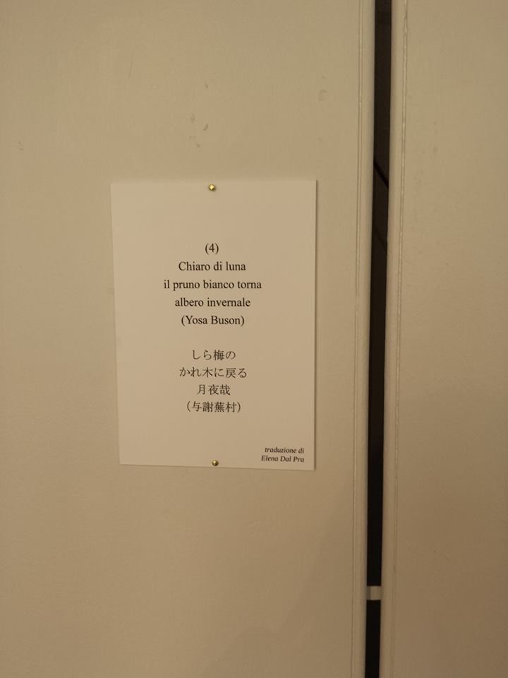 Chiaro di luna-Haiku