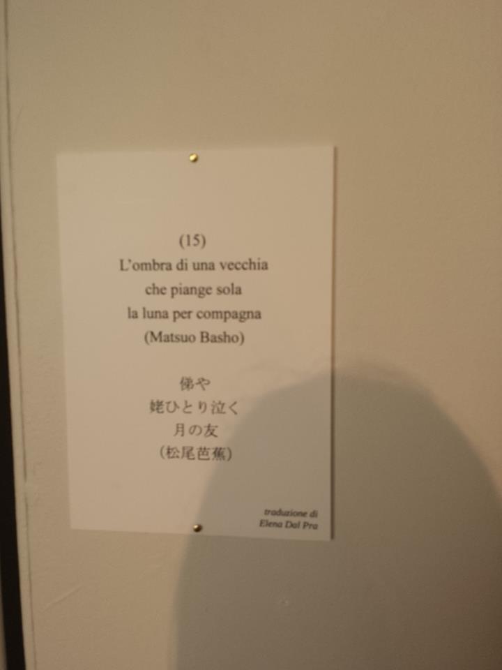 La luna per compagna-Haiku