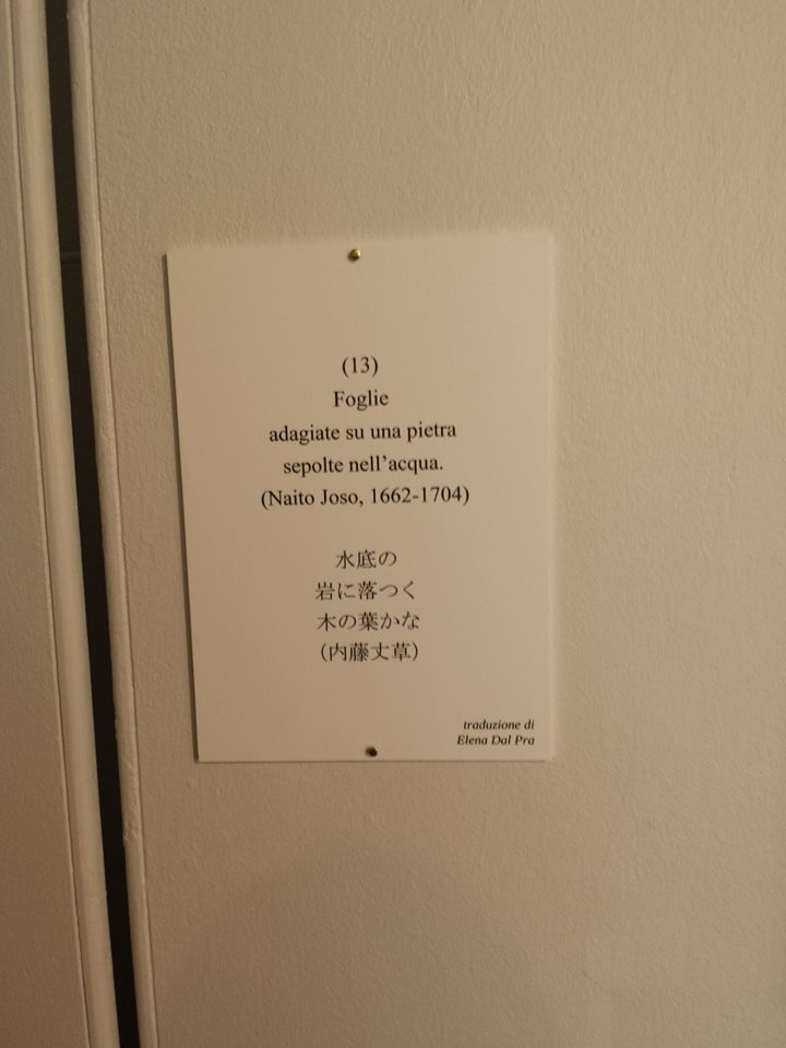 Foglie nell'acqua-Haiku