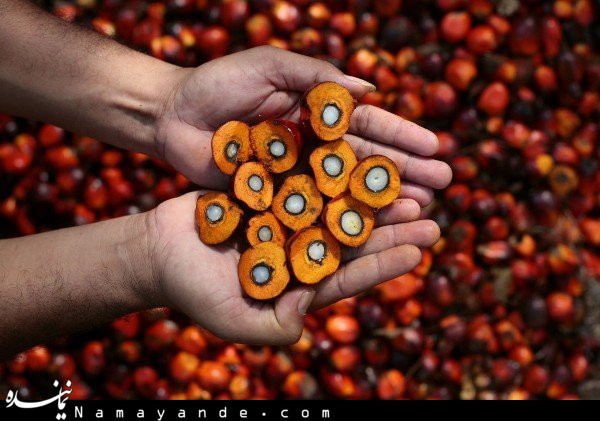 Il prodotto è pericoloso a causa della sua raffinazione