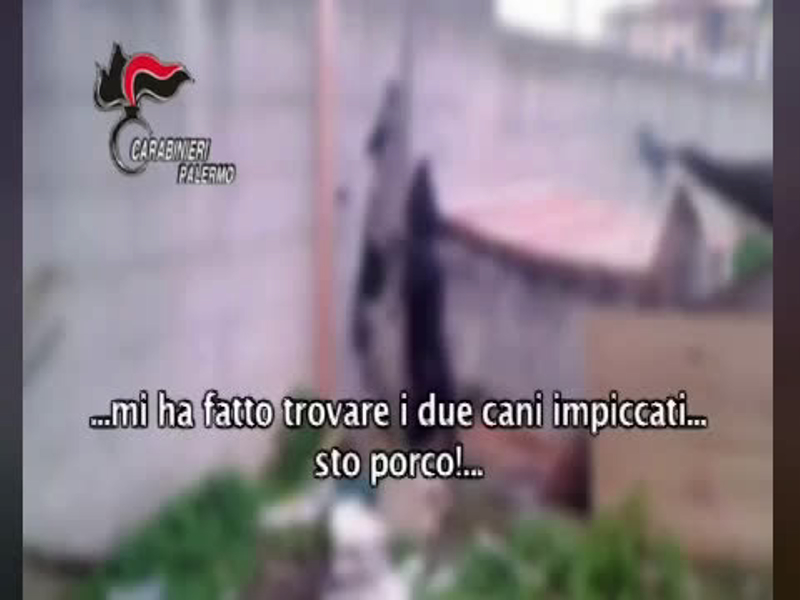 Pino Maniaci, intercettazioni