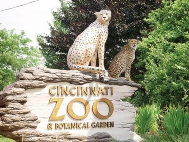 La vicenda è avvenuta allo zoo di Cincinnati